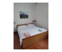 Casa Vacanze: Pineta dell'Alben